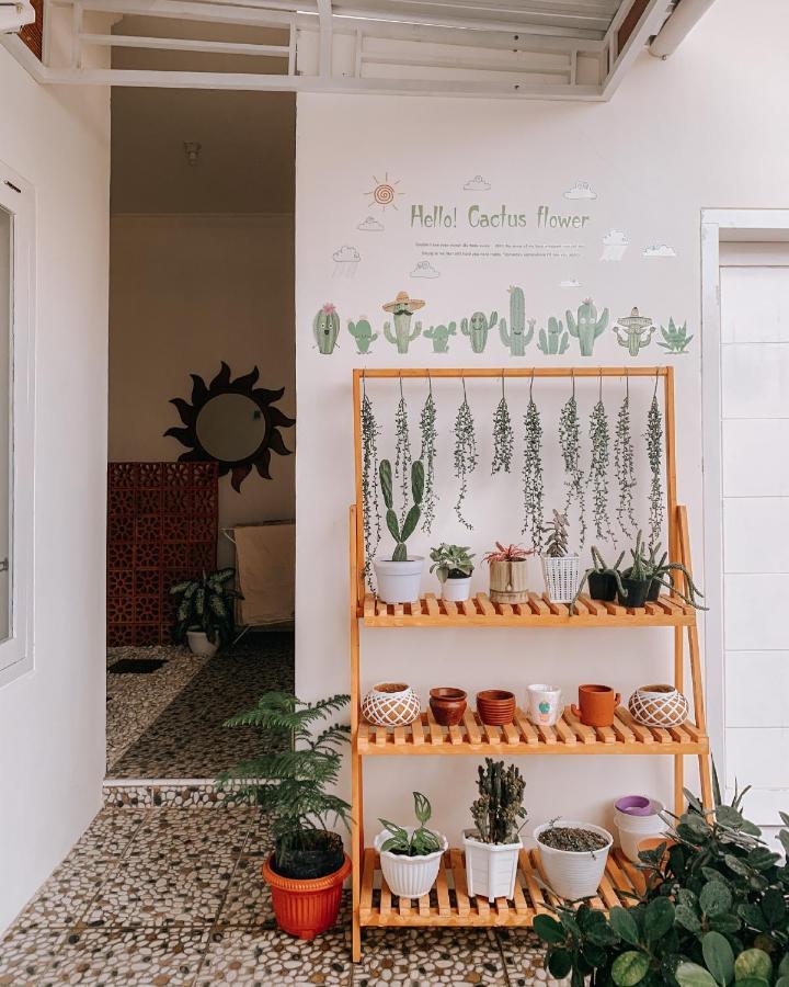 Tropical Paradiso Homestay 바뉴왕기 외부 사진
